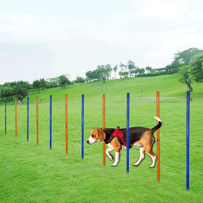 Agility Pour Chien - DogAgility™ - Bleu & Orange