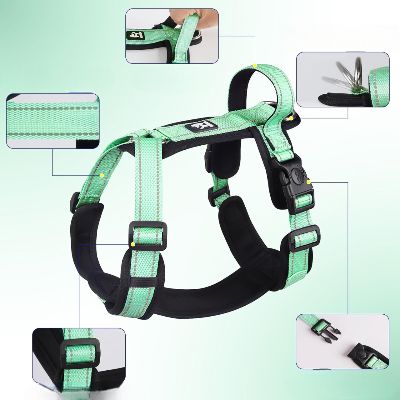 Harnais - SafePup™ - Vert