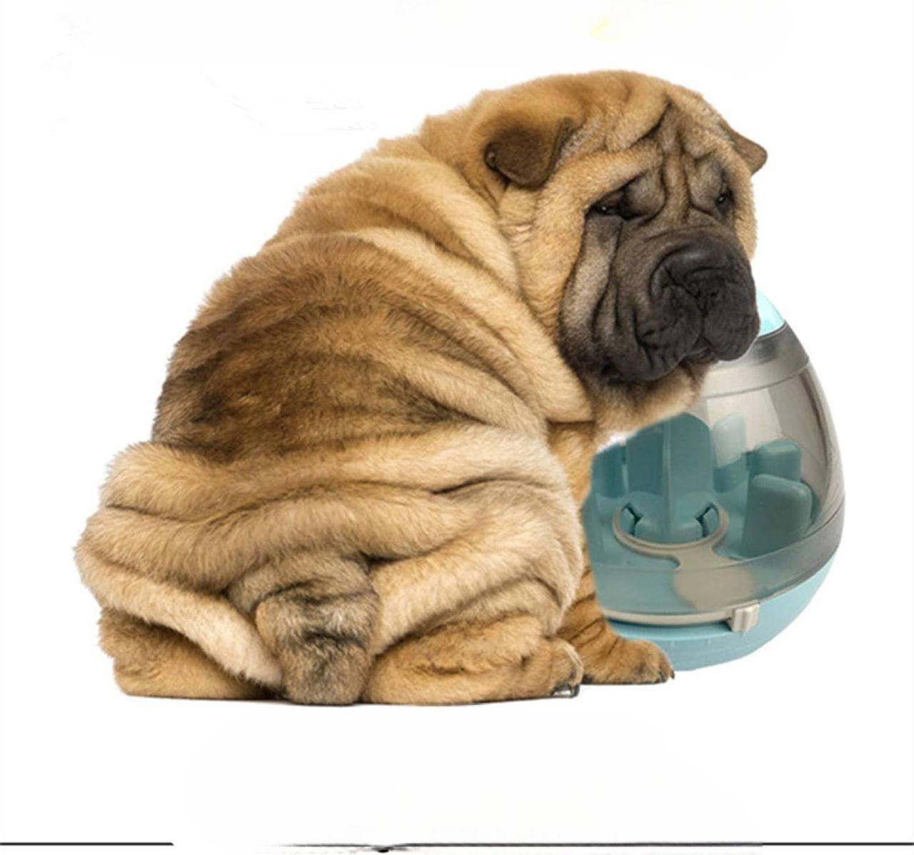 Distributeur de Croquettes pour Chien - FeedMaze™ - Bleu