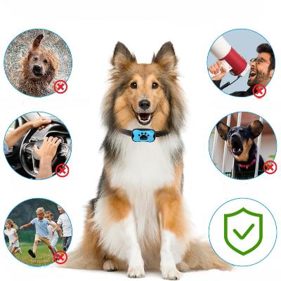 Collier Chien - BarkControl™ - Bleu
