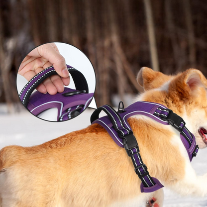 Harnais Chien - PullDogHarness™ - Violet