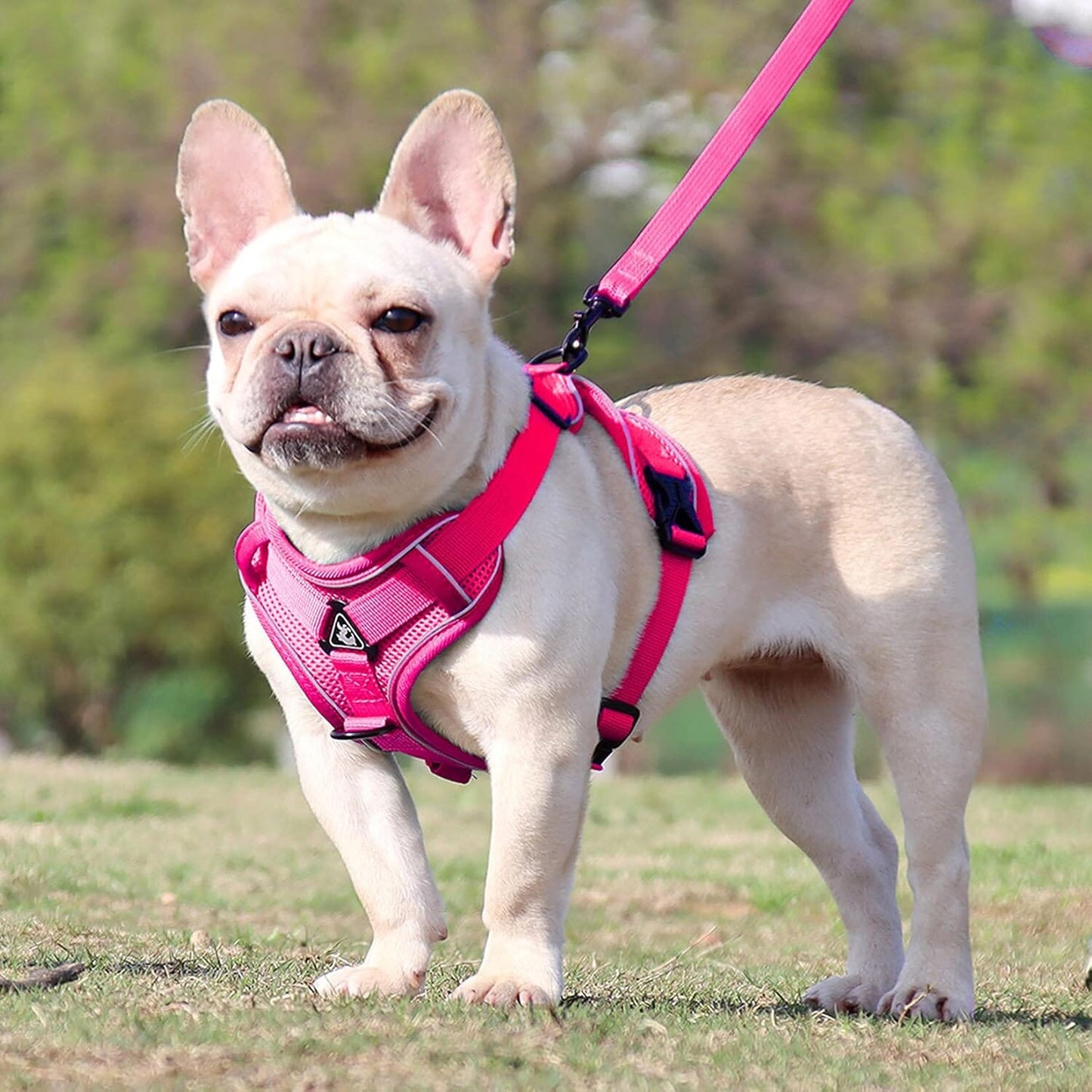 Harnais Petit Chien - DogHarnessVest™ - Rose