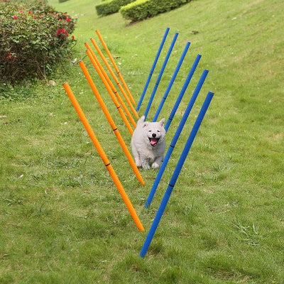 Agility Pour Chien - DogAgility™ - Bleu & Orange