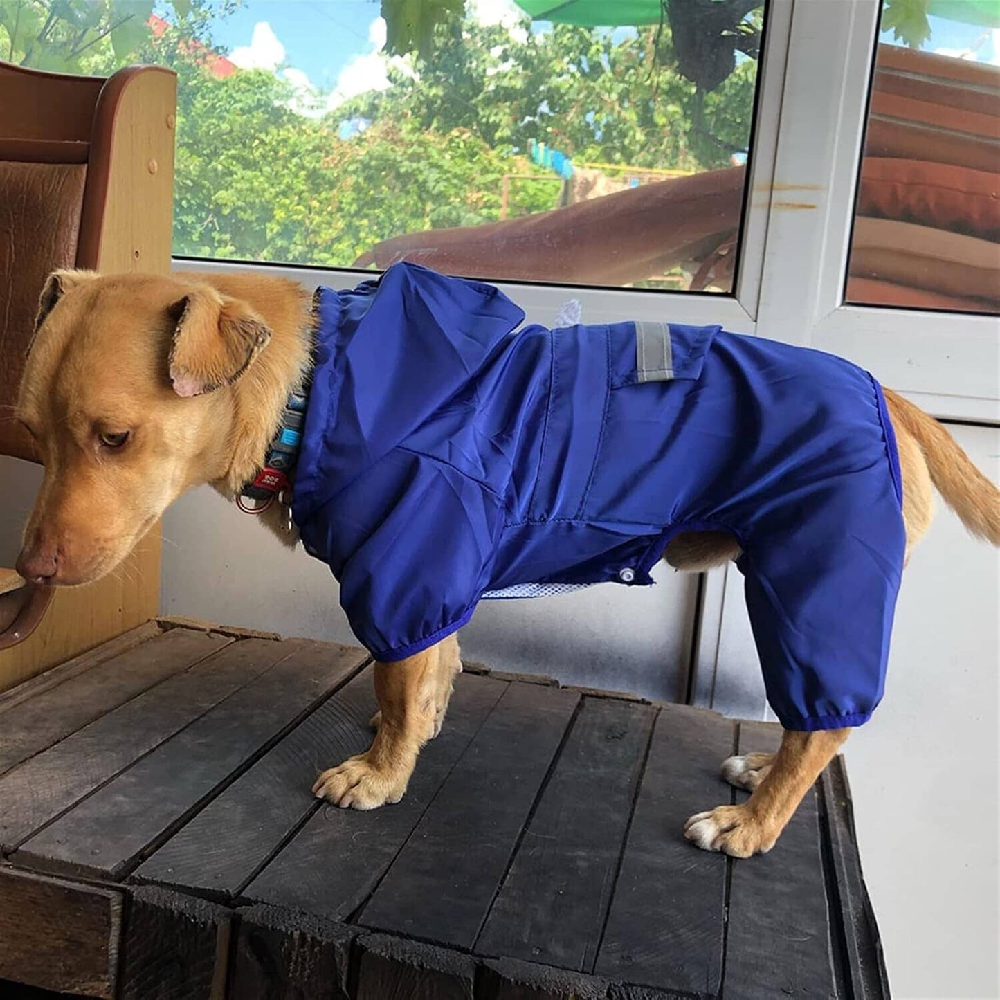 Manteau pour Chien - DogWaterproofCoat™ - Bleu