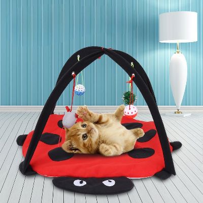 Tente Chat - CatTent™ - Coccinelle