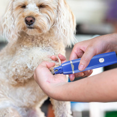 Tondeuse pour Chien - Clip&CleanPro™