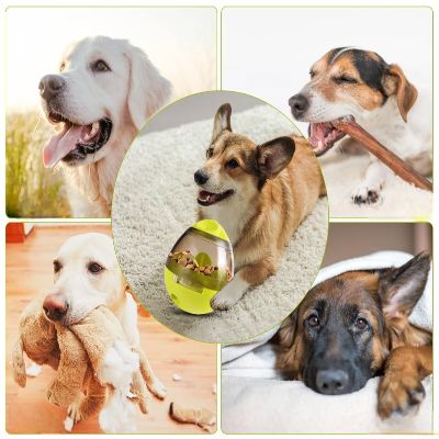 Distributeur de Croquettes pour Chien - FeedMaze™ - Vert