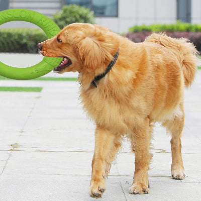 FRISBEE CHIEN - FetchBite™ - Vert