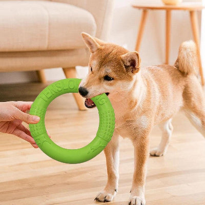 FRISBEE CHIEN - FetchBite™ - Vert