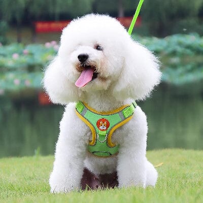 Harnais - PuppyTrek™ - Vert