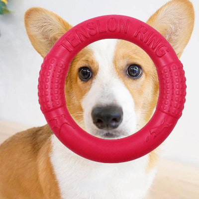 FRISBEE CHIEN - FetchBite™ - Rouge