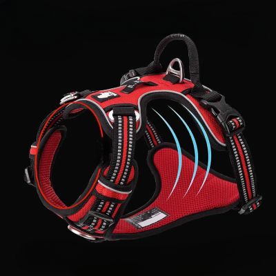 Harnais - PullFree™ - Rouge