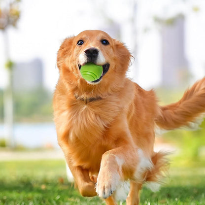Balle pour Chien - RubberChewToys™ - Vert