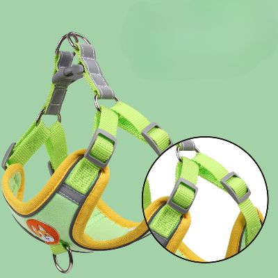 Harnais - PuppyTrek™ - Vert