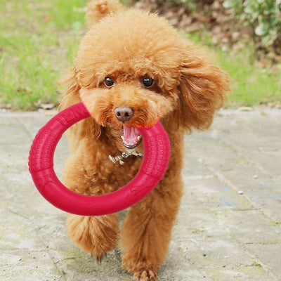 FRISBEE CHIEN - FetchBite™ - Rouge