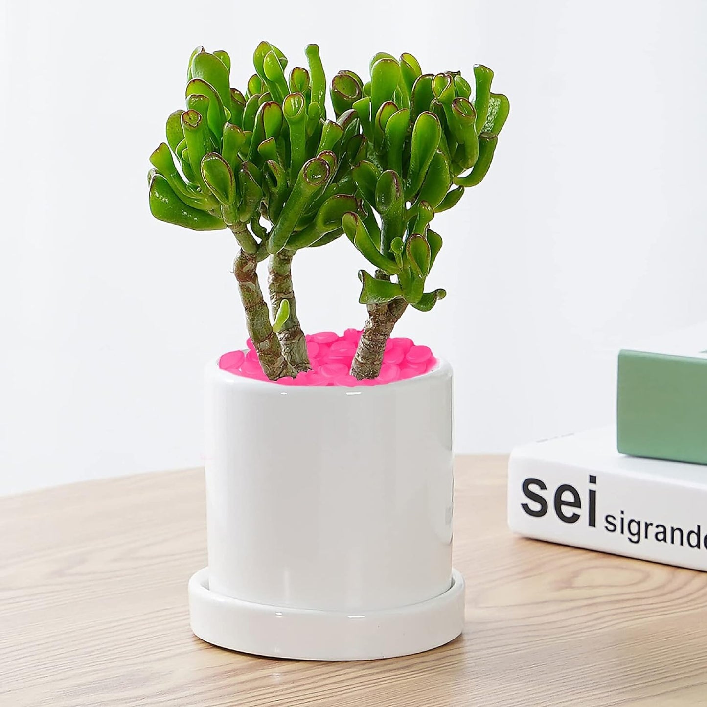 Décoration Jardin - GlowStones™ - Rose