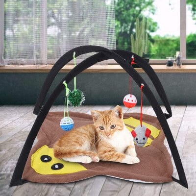 Tente Chat - CatTent™ - Abeille