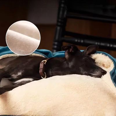 DogHaven™ - Bleu