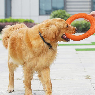 FRISBEE CHIEN - FetchBite™ - Orange