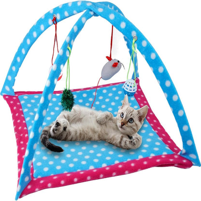 Tente Chat - CatTent™ - Pois Bleu