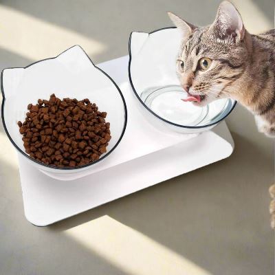 Gamelle Chat - CatDoubleBowl™ - Transparent