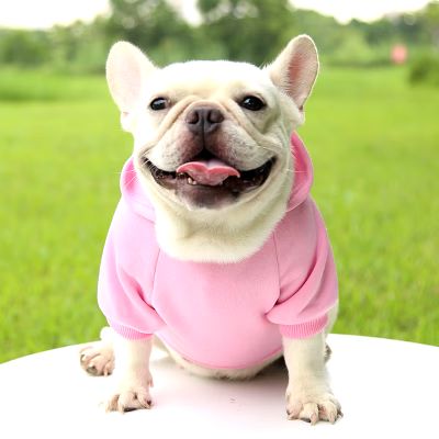 pull pour chien - PetDogClothes™ - Rose