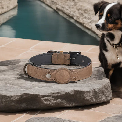 Collier pour Chien - DogGuard™ - Marron