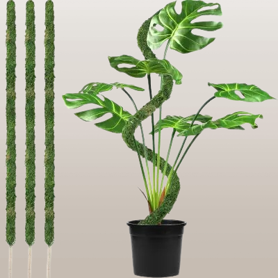 Support Plante - FoamPlantSupport™