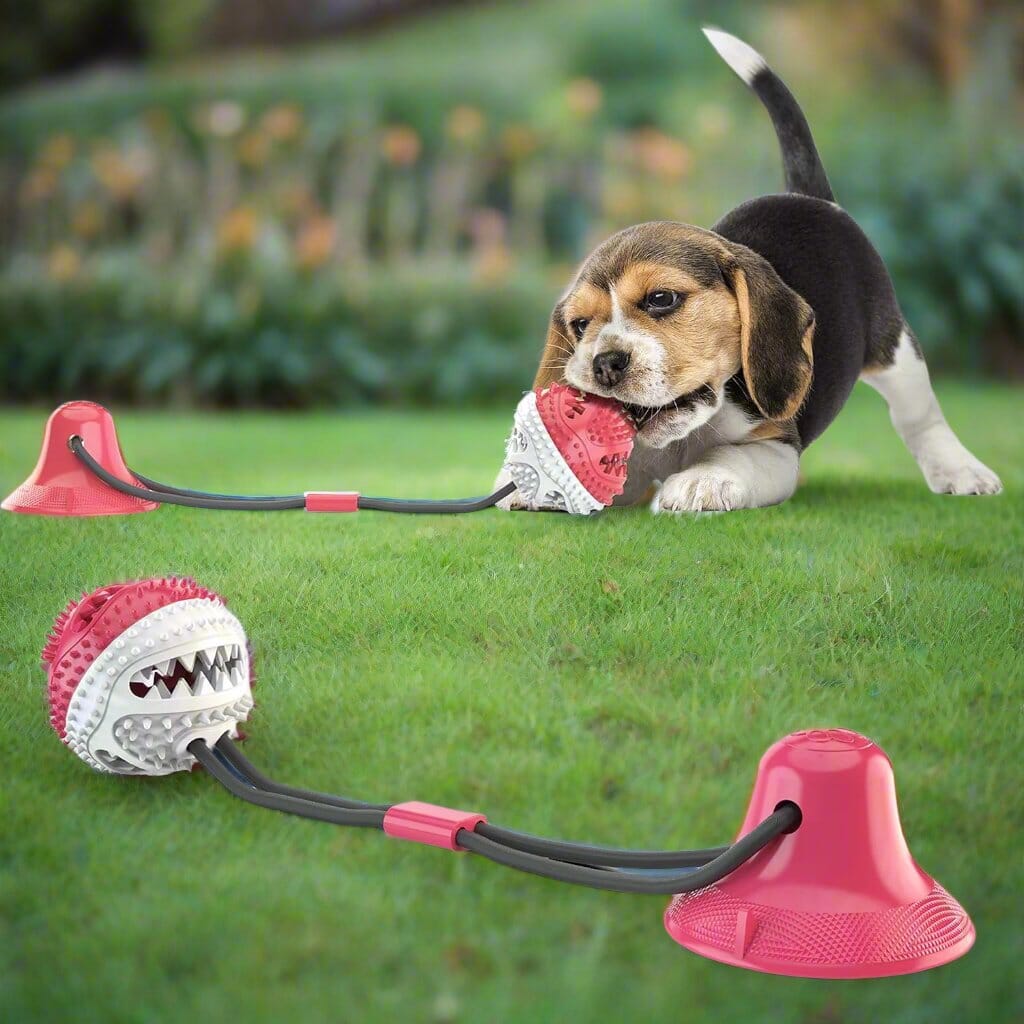 Jouet de Dentition - DogBallChewToy™ - Rouge