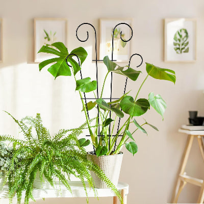 DECORATION JARDIN - NatureTrellis™ - Métal