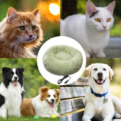 Lit pour Chat - CozyCat™ - Vert