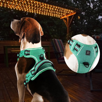 Harnais Chien - PullDogHarness™ - Vert Clair