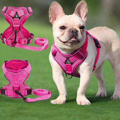Harnais Petit Chien - DogHarnessVest™ - Rose