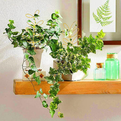 DECORATION JARDIN - NatureTrellis™ - Or
