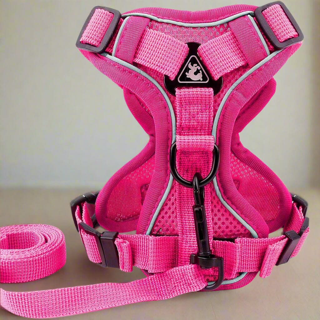 Harnais Petit Chien - DogHarnessVest™ - Rose