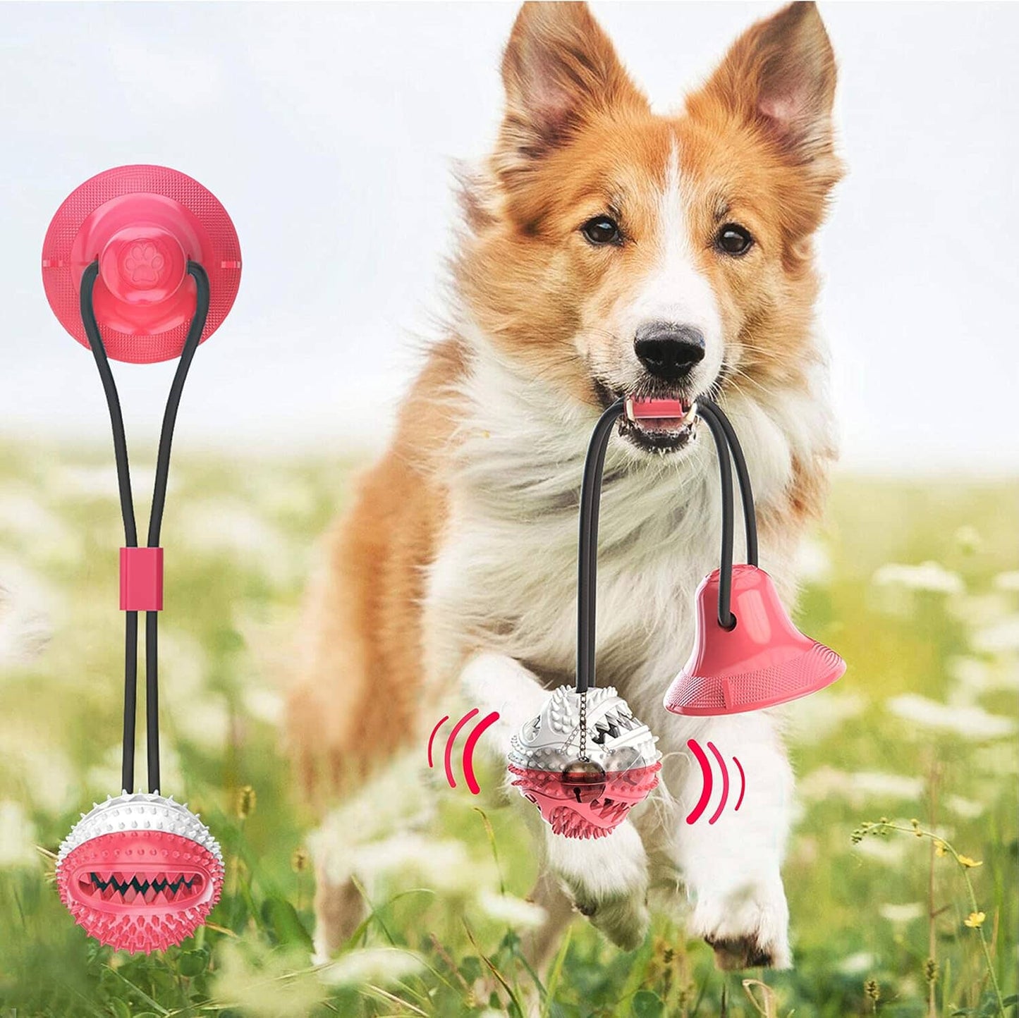 Jouet de Dentition - DogBallChewToy™ - Rouge