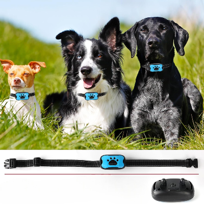 Collier Chien - BarkControl™ - Bleu