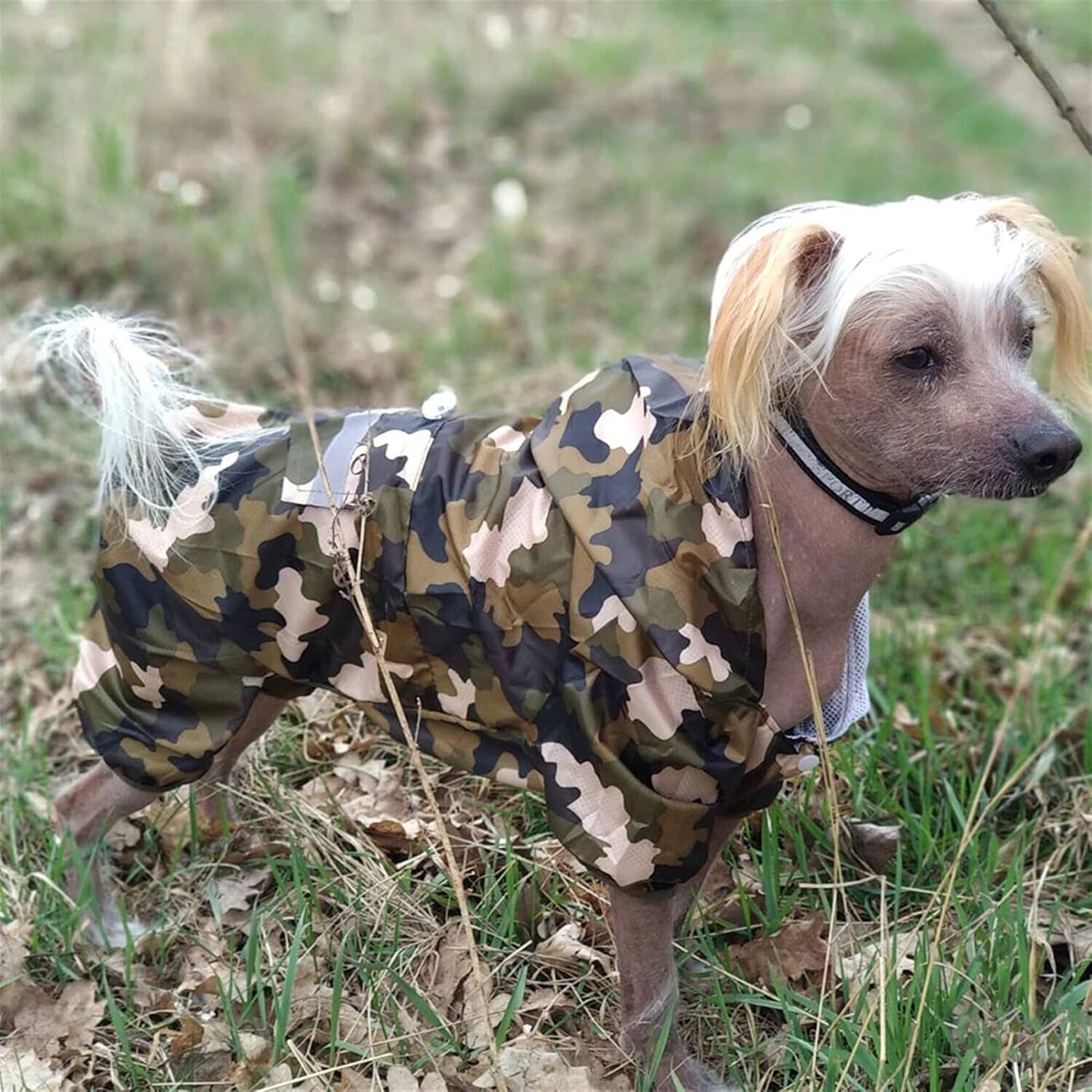 Manteau pour Chien - DogWaterproofCoat™ - Camouflage
