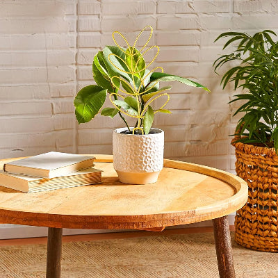 DECORATION JARDIN - NatureTrellis™ - Or