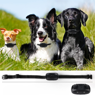 Collier Chien - BarkControl™ - Noir