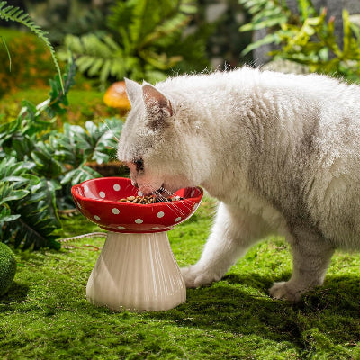 Gamelle pour Chat - CatShroom™ - Rouge