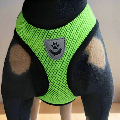 Harnais Petit Chien - DogHarnessLeadLeash™ - Vert