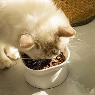 Gamelle Chat - NewCatFoodBowl™ - Blanc