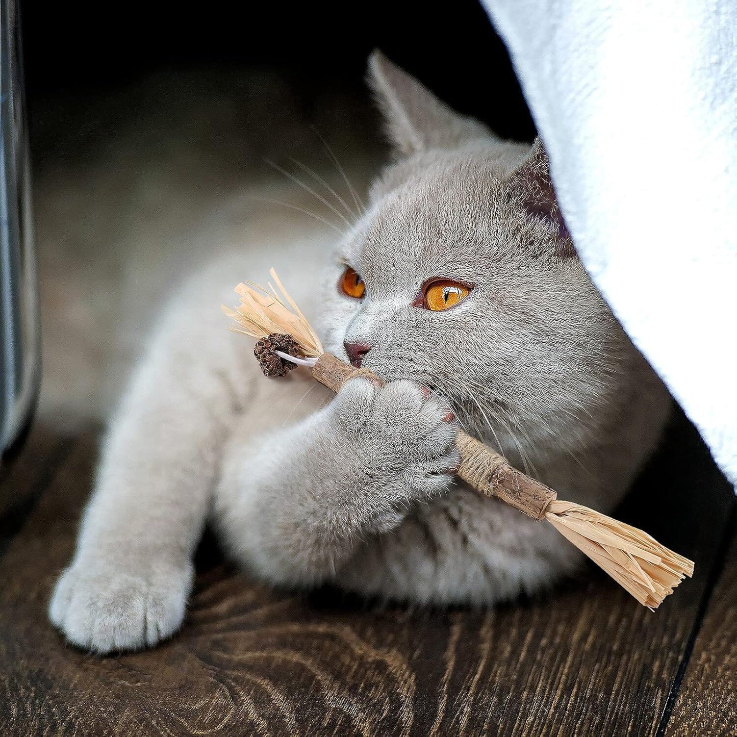 Bâton à mâcher pour chat - PurrStick™