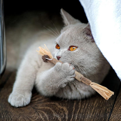 Bâton à mâcher pour chat - PurrStick™