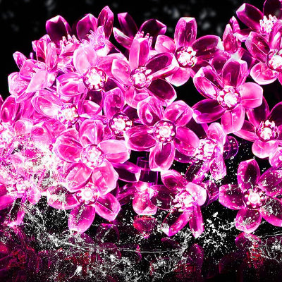 Guirlande Lumineuse - SolarBloom™ - Rose