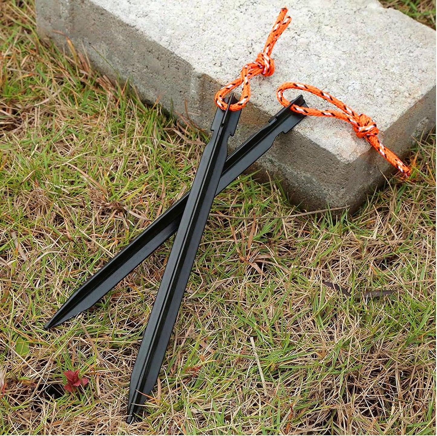 Piquet de Tente - TrailHold™ - Noir