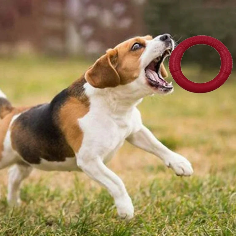 Jouets pour Chien - DogFlyingDisk™ - Rouge
