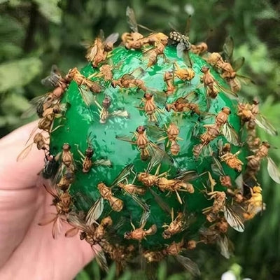 Piège à mouches - HangingFlyTrap™ -Vert