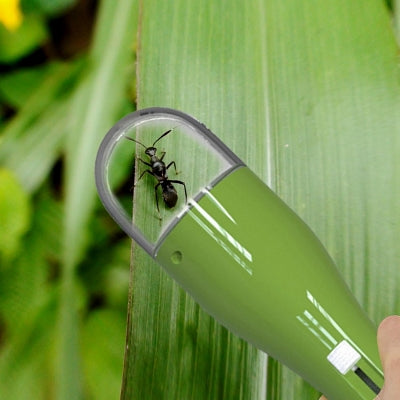 Attrape insecte - NewInsectCatcher™ - Vert